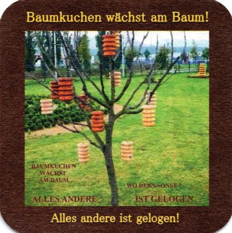 wernigerode hz-st baumkuchenhaus 1b (quad185-wchst am baum)